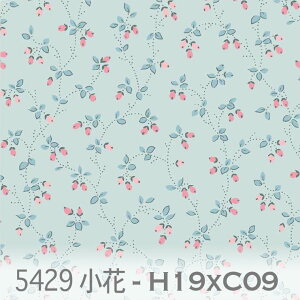 fBPKxCgOCbVGN ԕ ôڂ 5429-h19xc09 ôڂ݁@ Jgi[Wn IbNX V[`O u[h x̔~_(ev) _uK[[ n z  100