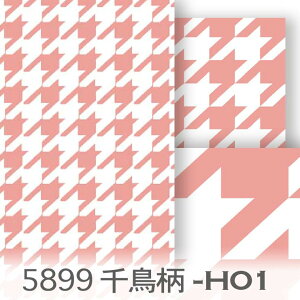 ׂ 璹iq 5899-h01 nEhhbOEgD[X Jgi[W IbNX V[`O u[h 11z _uK[[ n z  100 10cmP Jbg w pp