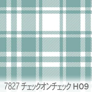 `FbNEIE`FbN ^[LX 7827-h09 `FbNd˂Ĕzu  ĂƂĂfGȂFł IbNXn V[`O u[h 11z nvn _uK[[ { 