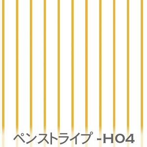 CG[I[J[ yXgCv ps-h04 st0210 2mm st0315 3mm st0420 4mm st0735 7mm IbNX V[`O u[h x̔~_(ev) _uK[[ n z  100 10cmP Jbg w 