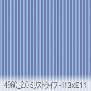 2mm/1.5mm stripe u[x_[xCgVA 4960-i13xe11 2~×1.5~ XgCv IbNXn V[`O u[h _uK[[ { n z  100% 10cmP Jbg 