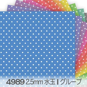 2.5~ hbgEʁij r^~J[ IiACjO[v 4989i 2.5mm shbg ʏ 4989an IbNXn V[`O u[h x̔~_(ev) { n z  100 10cmP 