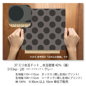 37~ O[ 5153x-j20 傫̐  N×J[ 5153x݃J[  F̔Zڂ̃O[ DF IbNXn V[`O u[h x̔~_(ev) nv