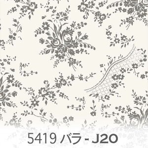 ȃoƃ[X O[ 5419-j20 õu[P ݃J[ F̔Zڂ̃O[ DF IbNXn V[`O u[h x̔~_(ev) nvn _uK[[ { 