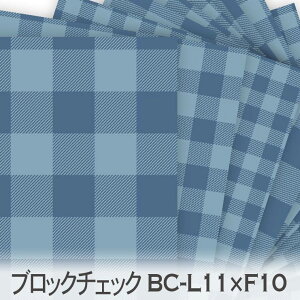 ubN`FbN 5TCY bc-l11xf10 ł킢MK`FbN n bc IbNXn V[`O u[h 11z nvn { n z  100 10cmP Jbg