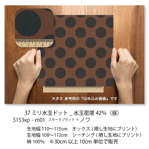 37~ miNOIXj 5153x-m01 傫̐  N×J[ 5153x IbNXn V[`O u[h x̔~_(ev) nvn { n z  100 10cmP Jbg 