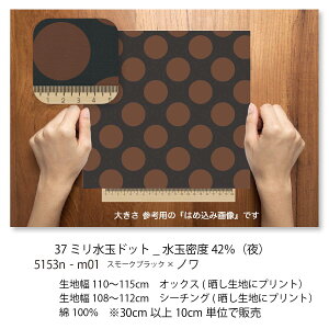 37~ miNOIXj 5153x-m01 傫̐  N×J[ 5153x IbNXn V[`O u[h x̔~_(ev) nvn { n z  100 10cmP Jbg 