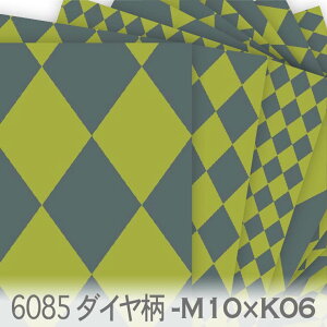 _C J[ tHXgVhEx킩 6085-m10xk06 n[L`FbN IbNXn V[`O u[h 11z nvn { n z  100% 10cmP Jbg 