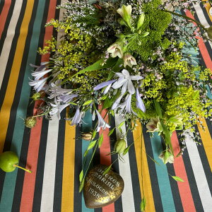 }`J[ }`XgCv 8100-mt h02 h04 h08 L20 a03 }`J[ XgCv  g IbNX V[`O u[h x̔~_(ev) n z  100 10cmP Jbg