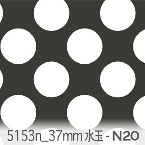 X[NubN 37~ hbgEʁij 5153n-n20 傫̐  ̍ nN mg[  VN IbNX V[`O u[h x̔~_(ev) _uK[