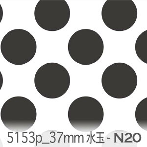 X[NubN 37~ hbgEʁij 5153p-n20 傫̐  ̍ nN mg[  VN IbNX V[`O u[h x̔~_(ev) _uK[