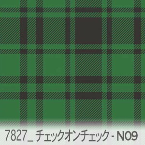 `FbNEIE`FbNi×X[NubNj p_CXO[ 7827x-n09 `FbNd˂Ĕzu  IbNXn V[`O u[h 11z nvn { n z 