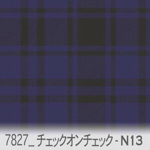 `FbNEIE`FbNiX[NBKnj fB[vTt@CA 7827x-n13 ̈Ⴄ`FbNd˂Ĕzu  `FbNEIE`FbN IbNXn V[`O u[h 11z