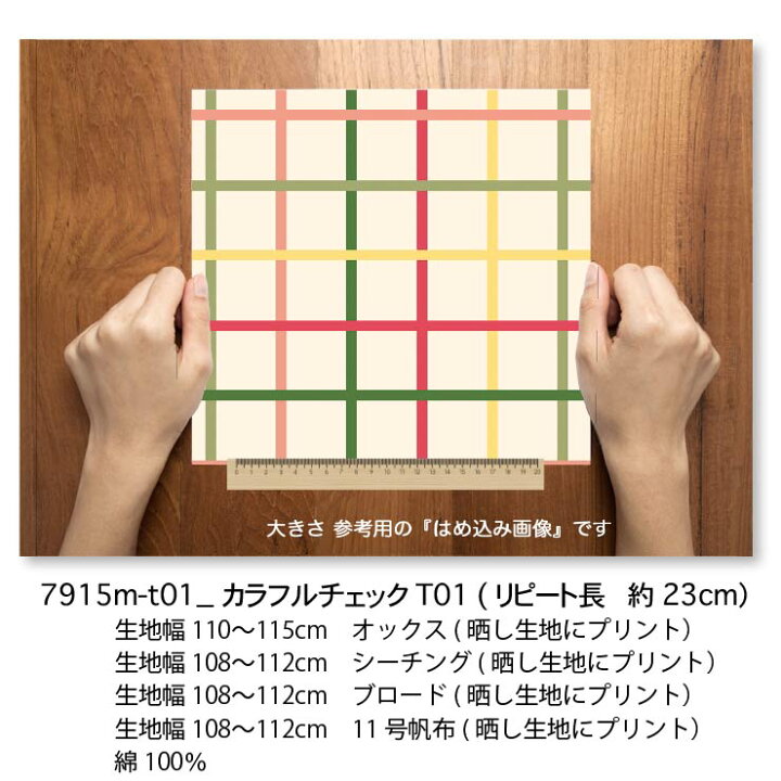 楽天市場】優しい色使いのマルチカラー カラフルチェック 7915-t01 