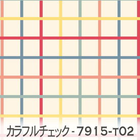 優しい色使いのマルチカラー カラフルチェック 7915-t02 かわいいマルチカラーのチェック オックス シーチング ブロード 11号帆布 ダブルガーゼ 生地 布 松尾捺染 綿100％ 10cm単位 カット売り 入園入学 商用利用可