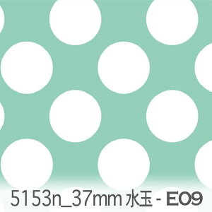 37~ hbgE ij e09.ANAO[ 5153n-e09  IbNX n ̎q V[`O u[h x̔~_(ev) ev _uK[[ Jgi[W  n k GK