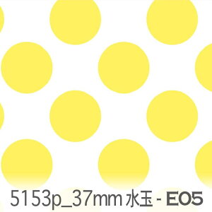 37~ hbgE ij e05. 5153p-e05  IbNX n ̎q V[`O u[h x̔~_(ev) ev _uK[[ Jgi[W  n k GKg n z
