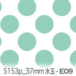 37~ hbgE ij e09.ANAO[ 5153p-e09  IbNX n ̎q V[`O u[h x̔~_(ev) ev _uK[[ Jgi[W  n k GK