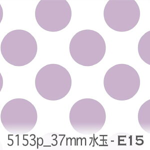 37~ hbgE ij e15.x_[ 5153p-e15  IbNX n ̎q V[`O u[h x̔~_(ev) ev _uK[[ Jgi[W  n k GKg 
