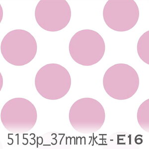 37~ hbgE ij e16.I[Lbh 5153p-e16  IbNX n ̎q V[`O u[h x̔~_(ev) ev _uK[[ Jgi[W  n k GKg 