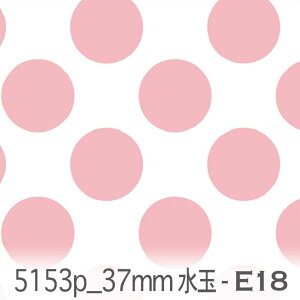 37~ hbgE ij e18.[YsN 5153p-e18  IbNX n ̎q V[`O u[h x̔~_(ev) ev _uK[[ Jgi[W  n k GKg 