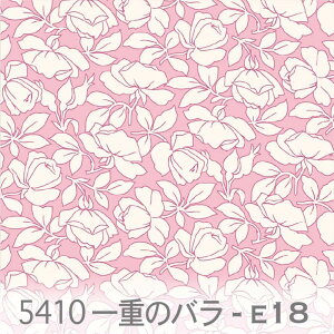 d̃o 5410-e18 [YsN × t[zCg FWH ԕ n  IbNXn _uK[[ x̔~_(ev) ev V[`O tXn̕ 10cmP  Ib