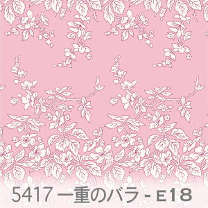 d̃o 5417-e18 [YsN × t[zCg FWH ԕ n  IbNXn _uK[[ x̔~_(ev) ev V[`O tXn̕ 10cmP  Ib