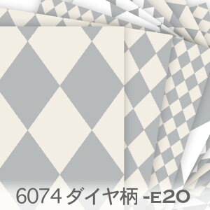 _C CgO[ E-20 n[L`FbN sG n  _ k IbNXn n z  100 V[`On 11z Jgi[W check n z  