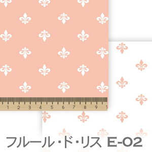 CgT[sN e02 7647 7648 S̉ ACXiilis) ͕ t[hX IbNX V[`O u[h x̔~_(ev) _uK[[ 100% 10cmP Jbg w pp