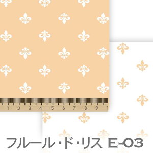 VF[ e03 7647 7648 S̉ ACXiilis) ͕ t[hX IbNX V[`O u[h x̔~_(ev) _uK[[ 100% 10cmP Jbg w pp