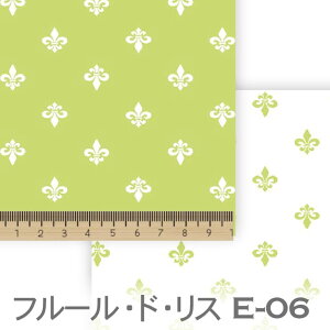 T_O[ e06 7647 7648 S̉ ACXiilis) ͕ t[hX IbNX V[`O u[h x̔~_(ev) _uK[[ 100% 10cmP Jbg w pp