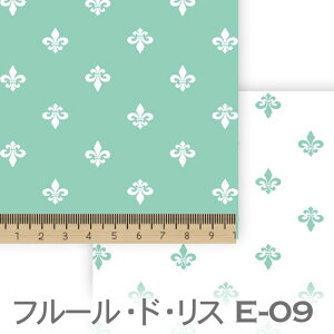 AQUA GREEN e09 7647 7648 S̉ ACXiilis) ͕ t[hX IbNX V[`O u[h x̔~_(ev) _uK[[ 100% 10cmP Jbg w pp