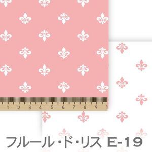 ACVNsN e19 7647 7648 S̉ ACXiilis) ͕ t[hX IbNX V[`O u[h x̔~_(ev) _uK[[ 100% 10cmP Jbg w pp