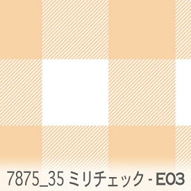 35ミリ ブロックチェック e03.シェリー 7875-e03 オックス シーチング ブロード 11号帆布 ev ダブルガーゼ カルトナージュ おしゃれ 生地 check エレガント 生地 布 松尾捺染 綿100％ 10cm単位 カット売り 入園入学 商用利用可