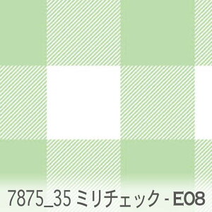 35~ ubN`FbN e08.pXeO[ 7875-e08 IbNX V[`O u[h 11z _uK[[ Jgi[W  n check GKg n z  100 10cmP 