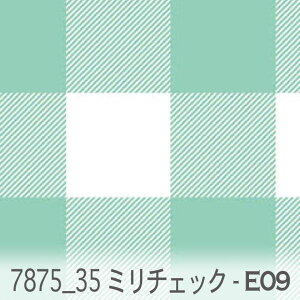 35~ ubN`FbN e09.ANAO[ 7875-e09 IbNX V[`O u[h 11z _uK[[ Jgi[W  n check GKg n z  100 10cmP J