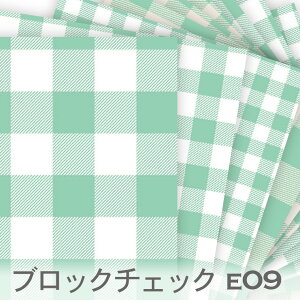 ubN`FbN E09 ANAO[ MK`FbN  n _ IbNXn n z  100 V[`On 11z u[h _uK[[ Jgi[W check 