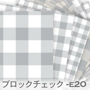 ubN`FbN CgO[ E-20 MK`FbN  n _ IbNXn n z  100 V[`On 11z Jgi[W check n z  100 10c