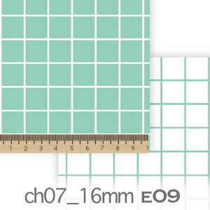 16~ C`FbN e09.ANAO[ch07_16-e09 IbNX V[`O u[h 11z C7  n check GKg n z  100 10cmP Jbg 