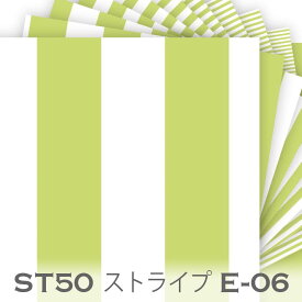 サラダグリーン e06 ブロックストライプ 生地 st50 面積比率 50% のロンドンストライプ生地 おしゃれ 3ミリ 5ミリ 7ミリ オックス生地 シーチング ブロード ダブルガーゼ 11号帆布 ev stripe カルトナージュ 生地 布 松尾捺染 綿100％ 10cm単位 入園入学 商用利用可