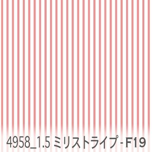 XgCvn 1.5~ 4958-f19 R[sN ƐF  킢 n _ k IbNX n z  100 V[`O x̔~_(ev) ev _uK[[ ga J