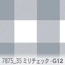 35ミリ ブロックチェック g12.ブルーグレー 7875-g12 オックス シーチング ブロード 11号帆布 ev ダブルガーゼ カルトナージュ おしゃれ 生地 check エレガント 生地 布 松尾捺染 綿100％ 10cm単位 カット売り 入園入学 商用利用可