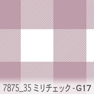 35~ ubN`FbN g17.Cg{h[ 7875-g17 IbNX V[`O u[h 11z _uK[[ Jgi[W  n check GKg n z  100 10cmP J