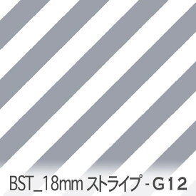 ブルーグレー bst18-g12 おしゃれでかわいい斜めストライプ 人気の太さ オックス シーチング ブロード 11号帆布 ダブルガーゼ 綿100% 10cm単位 カット売り 入園入学 商用利用可