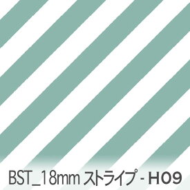 ターキス bst18-h09 おしゃれでかわいい斜めストライプ 人気の太さ オックス シーチング ブロード 11号帆布 ダブルガーゼ 綿100% 10cm単位 カット売り 入園入学 商用利用可