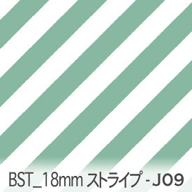 リーフグリーン bst18-j09 おしゃれでかわいい斜めストライプ 人気の太さ オックス シーチング ブロード 11号帆布 ダブルガーゼ 綿100% 10cm単位 カット売り 入園入学 商用利用可