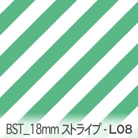 EMERALD GREEN bst18-l08 おしゃれでかわいい斜めストライプ 人気の太さ オックス シーチング ブロード 11号帆布 ダブルガーゼ 綿100% 10cm単位 カット売り 入園入学 商用利用可