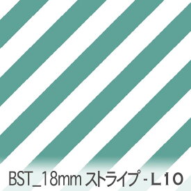 bst18-l10 おしゃれでかわいい斜めストライプ 人気の太さ オックス シーチング ブロード 11号帆布 ダブルガーゼ 綿100% 10cm単位 カット売り 入園入学 商用利用可