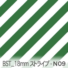 パラダイスグリーン bst18-n09 おしゃれでかわいい斜めストライプ 人気の太さ オックス シーチング ブロード 11号帆布 ダブルガーゼ 綿100% 10cm単位 カット売り 入園入学 商用利用可