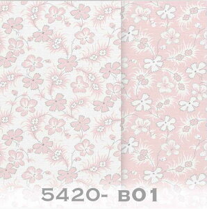 v@X ԕ 5420d-b01 5420n-b01 5420-b01 xr[sN tX 앧 voX {^jJ ԕ n sN 킢 ̎q 10cmP  IbNXn x̔~_(ev) ev 100% 110c